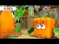 The Vanishing Pumpkins Spookley S Halloween Shorts Spookleythesquarepumpkin Halloween