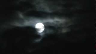 Carly Peran - Special - SOS