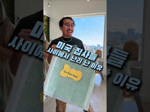 미국에서 난리난 배변패드 #배변패드 #강아지용품 #흡수력좋은패드 #집사필수템