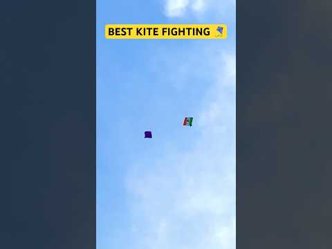 Best Kite Fighting 🔥|15 August kite flying #shorts #kiteflying #patangbazi #patang #kitevideo #kite