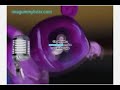 Freshing Equalizer KlaskyKlaskyKlaskyKlasky Gummy Bear Song Version In Invert Color