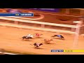 Irish Greyhound Derby 2023