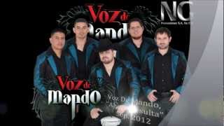 Voz De Mando &quot;Ahora Resulta&quot; Version Radio Oficial