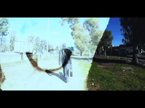 Video de YouTube