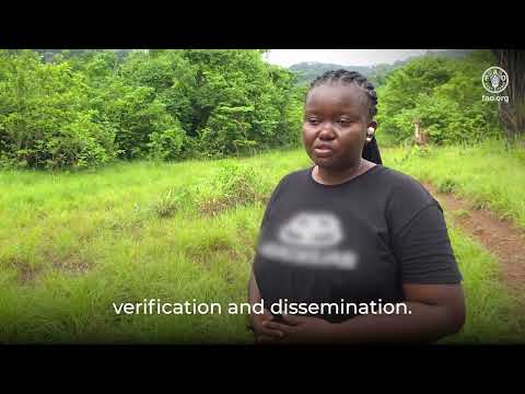 Interview with Rugiatu Bundu (Sierra Leona) on the National Forest Inventory online course