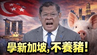 Download lagu 學新加坡不養豬，真的有解決問題嗎？ mp3