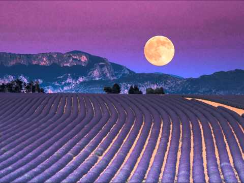 Heliotropic - Walk With Me (Original Mix 1) [HD]