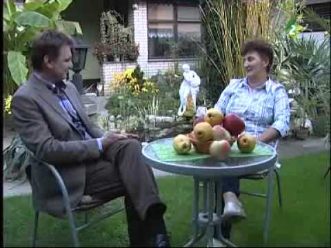 Jó estét, Vajdaság! - 2014. október 25.