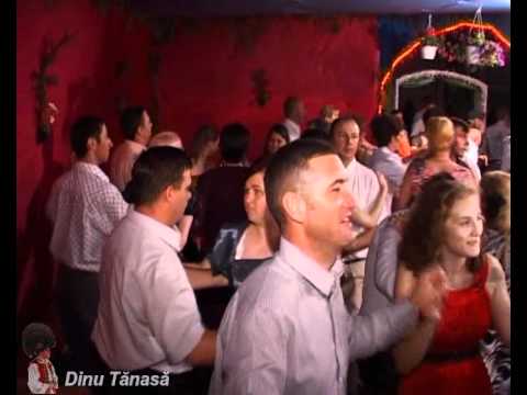 Dinu Tanasa 2011 - Nelutu si Ionela - Salva - Etno 2.avi
