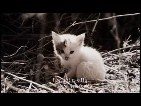 I've Got a Kitty - John Winskell