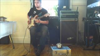 Rene Del Fierro - Freekish Blues Alpha Drive II Red Dot - Dumble Tones Video 2