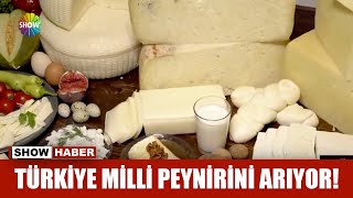 Türkiye milli peynirini arıyor!