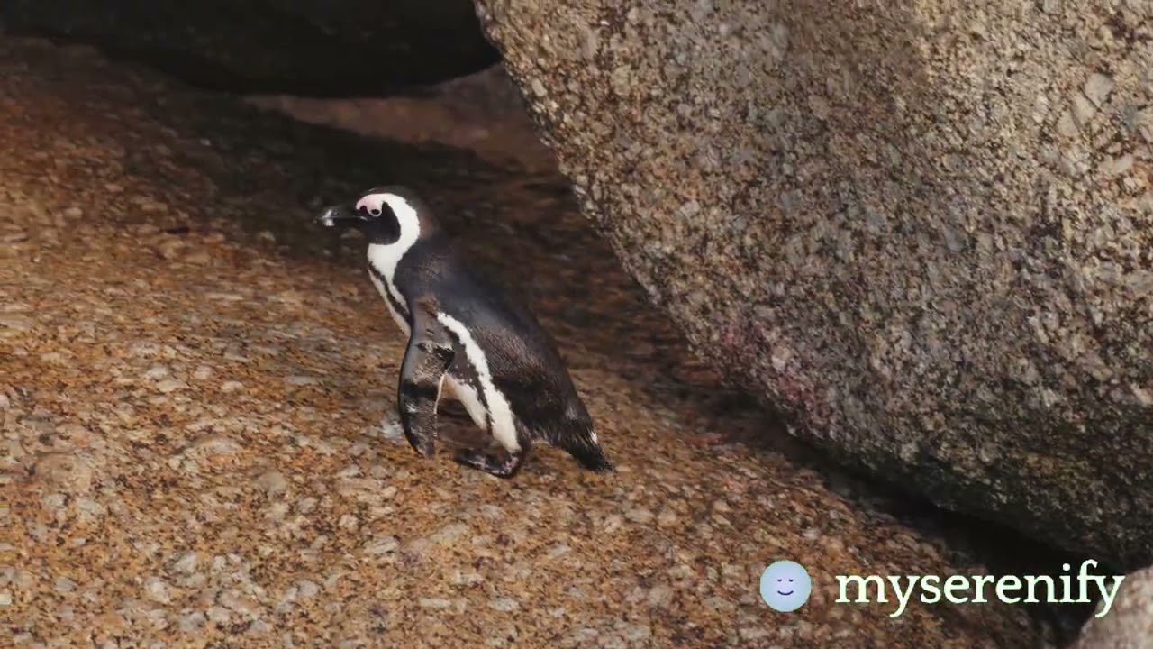 Crafting the Perfect Guided Meditation Script