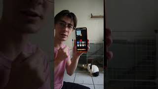 Video thumbnail image