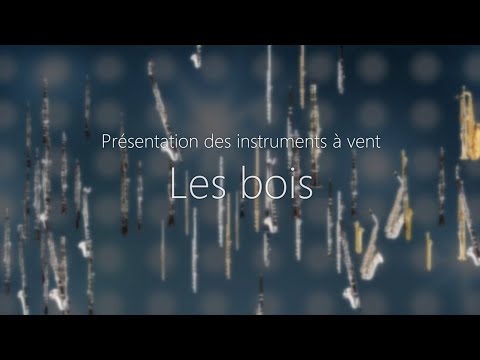 Vidéo Pédagogique - Instruments À Vent - Les Bois