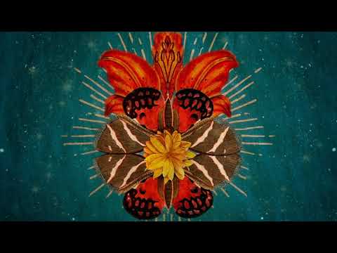 Ayla Schafer - Vuela con el Viento (Mose Remix)