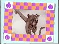 Tigger S Scrapbook Song