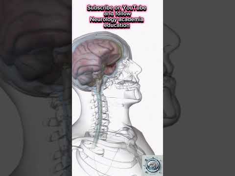 Can you guess the neurological disease based on the symptoms shown in this video?