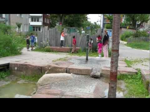 Vauban a sustainable district