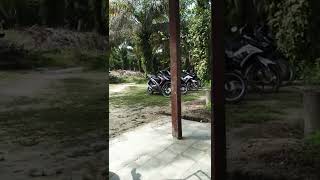 Download lagu kamis pagi  😊 mp3