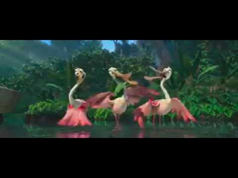 Summary Of Birds Madagascar