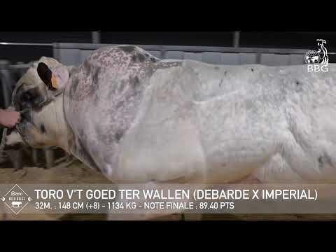 TORO V'T GOED TER WALLEN (2025)