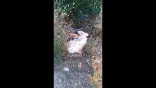 Summoning Demons. Our fear can protect us from danger