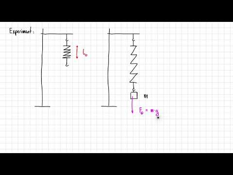 Das Hooke'sche Gesetz