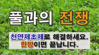장마철 풀과의 전쟁 천연 제초제로 해결하세요. 농약이 아닙니다. #주말농장  #텃밭 가꾸기 #제초제
