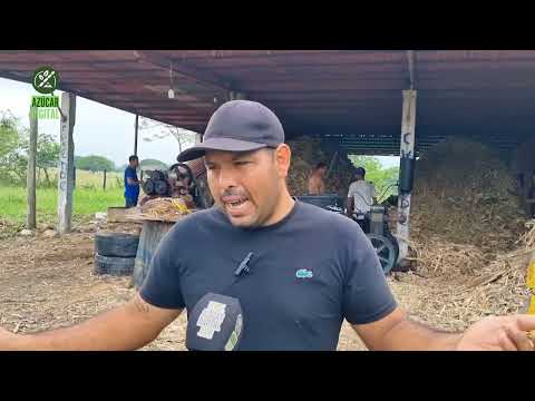 Experiencia panelera del Táchira genera empleos con la activación de trapiche en Portuguesa 