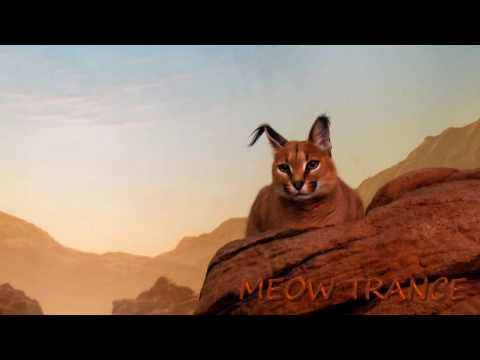 Kuffdam and Plant - Summerdream (Paul Van Dyk Remix) HQ