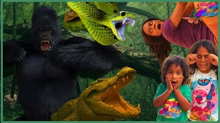 VÁRIOS BICHOS NO SÍTIO??? 