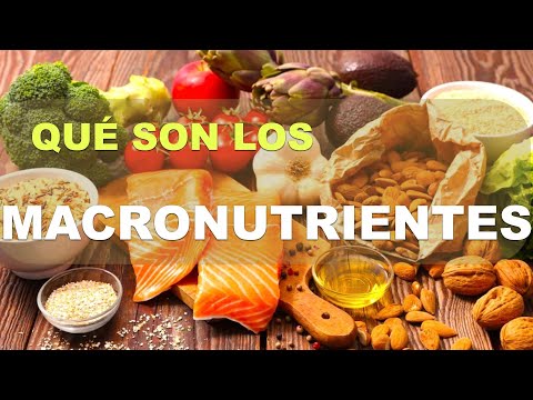Qué son los macronutrientes: Carbohidratos, grasas y proteínas