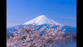 【雑談】首が痛くて横むけないのですが私は五十肩なのでしょうか