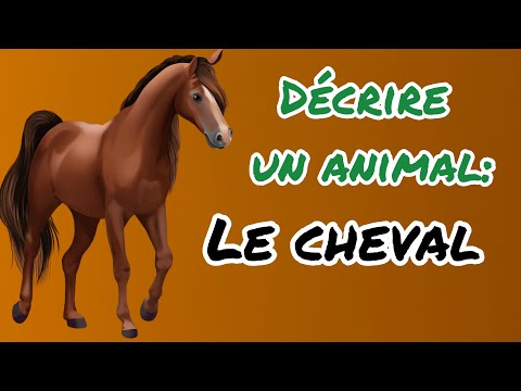 Décrire un animal:Le cheval
