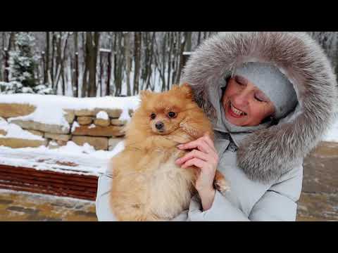 Зимние прогулки в Платоновском парке Зимние прогулки в Платоновском парке