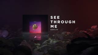 DROELOE - See Through Me