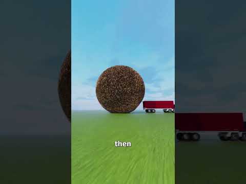 What If We Shaved Off Everyone’s Hair? 🤔