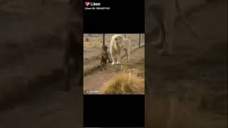 Download lagu Kata baba mp3