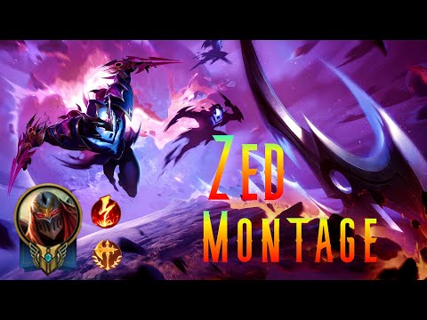 ZED MONTAGE S11 - KS