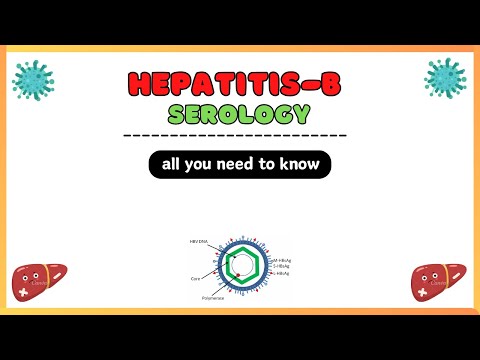 Hepatitis B serology, serological markers, Hep B serology interpretation, serology made easy