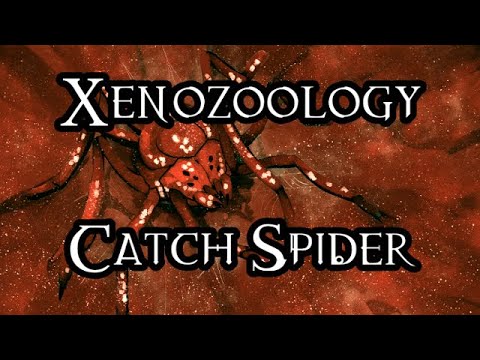 Xenozoology: Catch Spider - 40K Theories