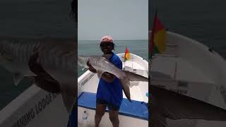 Hôtel Kasa Afrikana