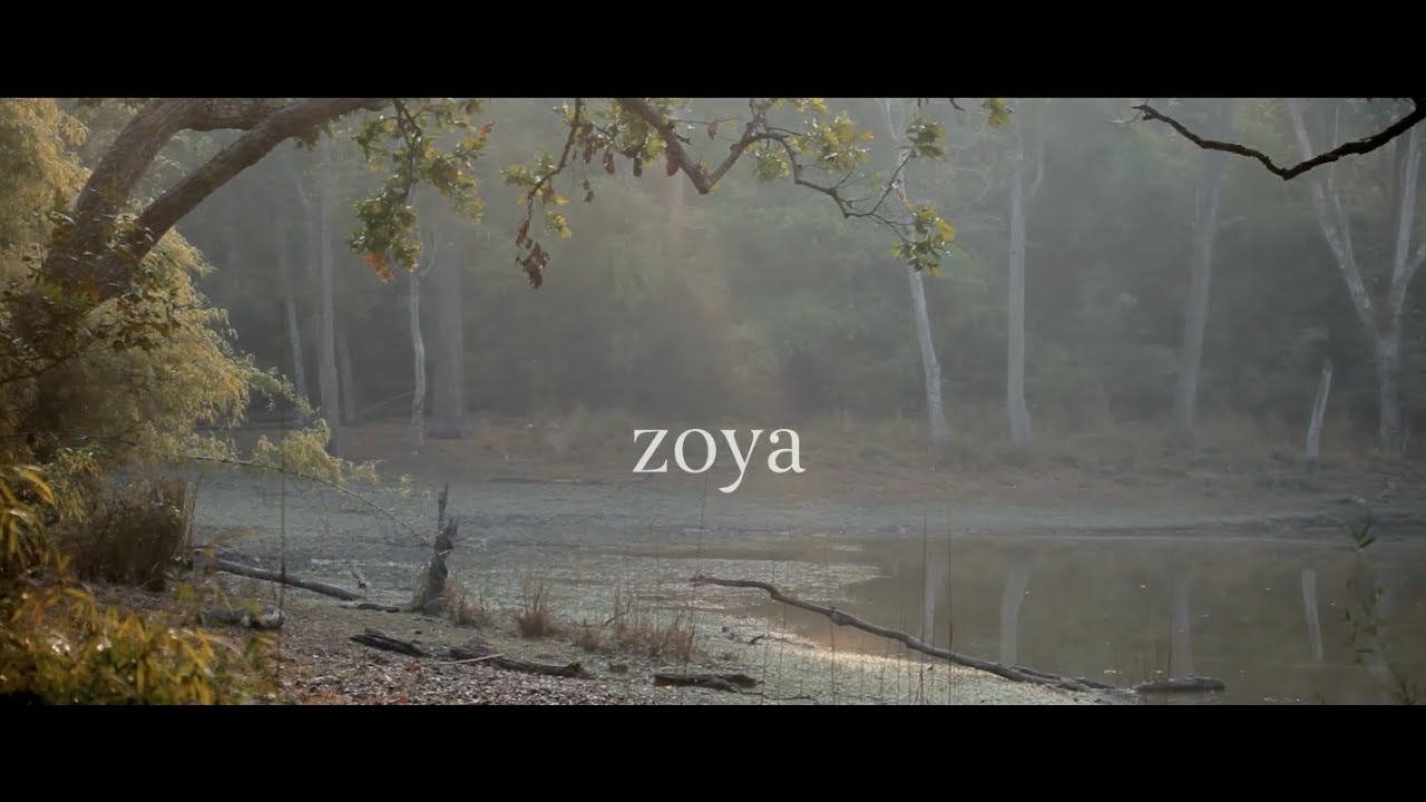 Zoya - Teaser Trailer (2016)