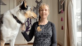 Animal Reiki Meditation with Dog Energy: Honoring Others by Listening from the Heart
