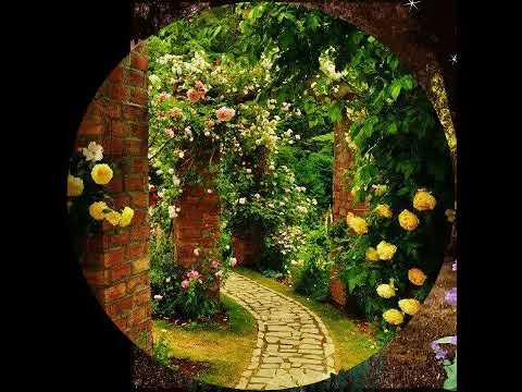 Bom dia !(James Blunt same mistak ) lindo demais!