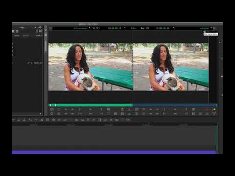 1 AVID EDITING BASICS
