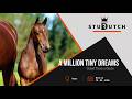 A Million Tiny Dreams