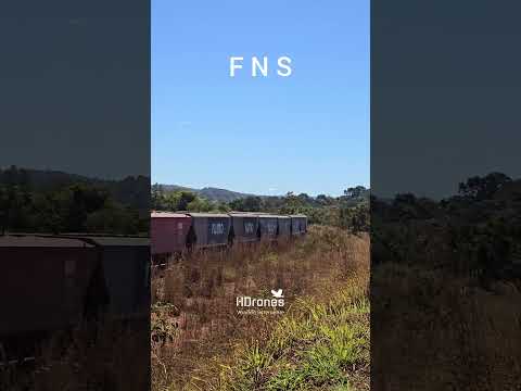 TREM GRANELEIRO CARREGADO BUZINANDO FORTE NA FNS #brasil #goiás #railway #ferrovia #fns