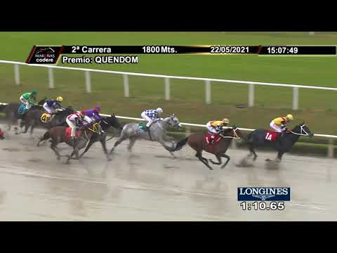 210522 c02 1° OUTPANEMA